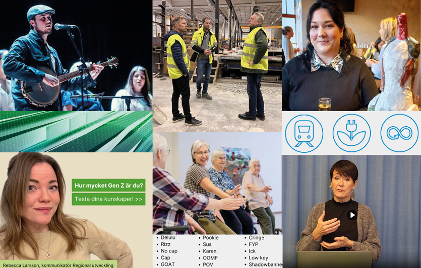 collage med bilder från nyhetsbrevet